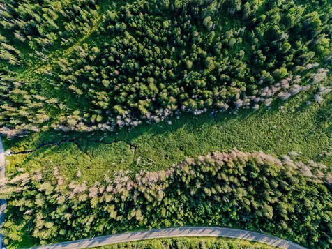 00 Watson Road Walden VT 05843