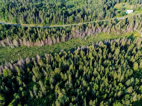 00 Watson Road Walden VT 05843