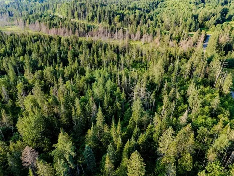 00 Watson Road Walden VT 05843