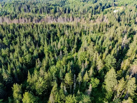 00 Watson Road Walden VT 05843