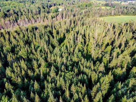 00 Watson Road Walden VT 05843