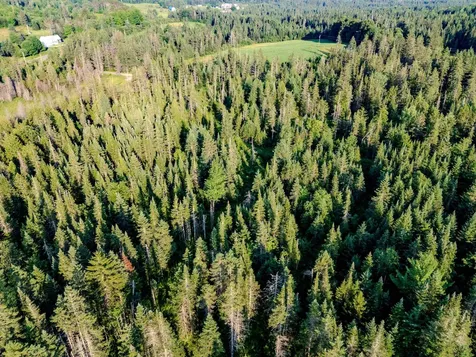 00 Watson Road Walden VT 05843