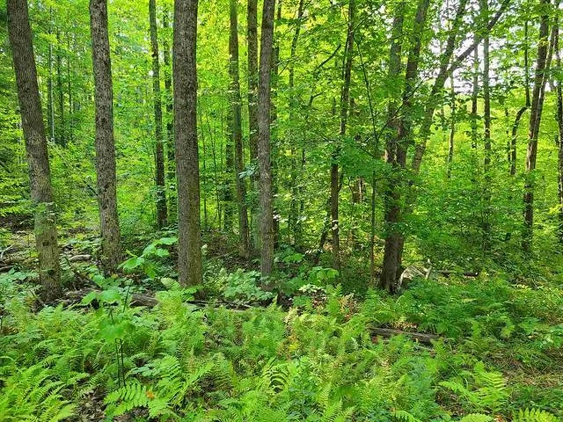 0 Pond Road Moultonborough NH 03254