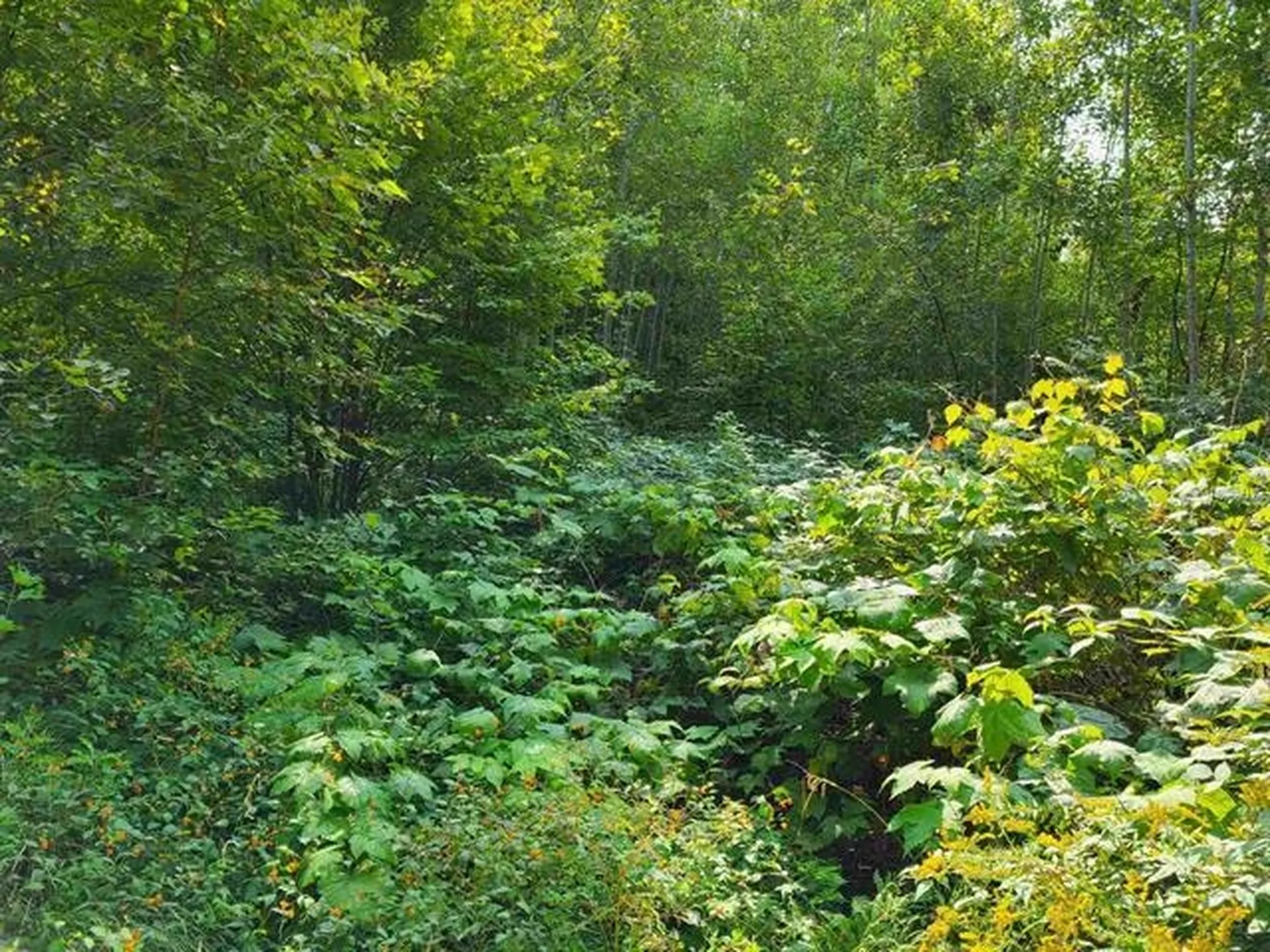 0 Pond Road Moultonborough NH 03254