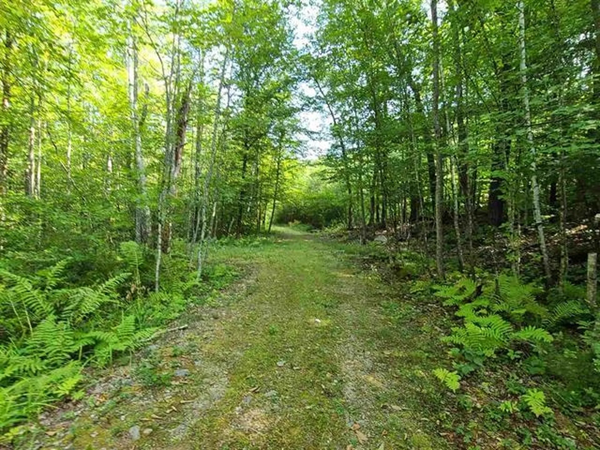 0 Pond Road Moultonborough NH 03254