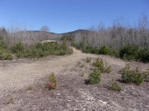 Fenn Way Circle Bath NH 03740