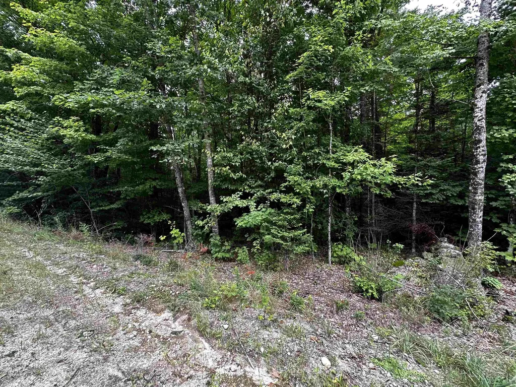62 Patterson Road Wilmot NH 03287
