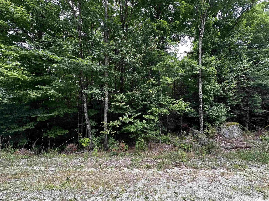 62 Patterson Road Wilmot NH 03287