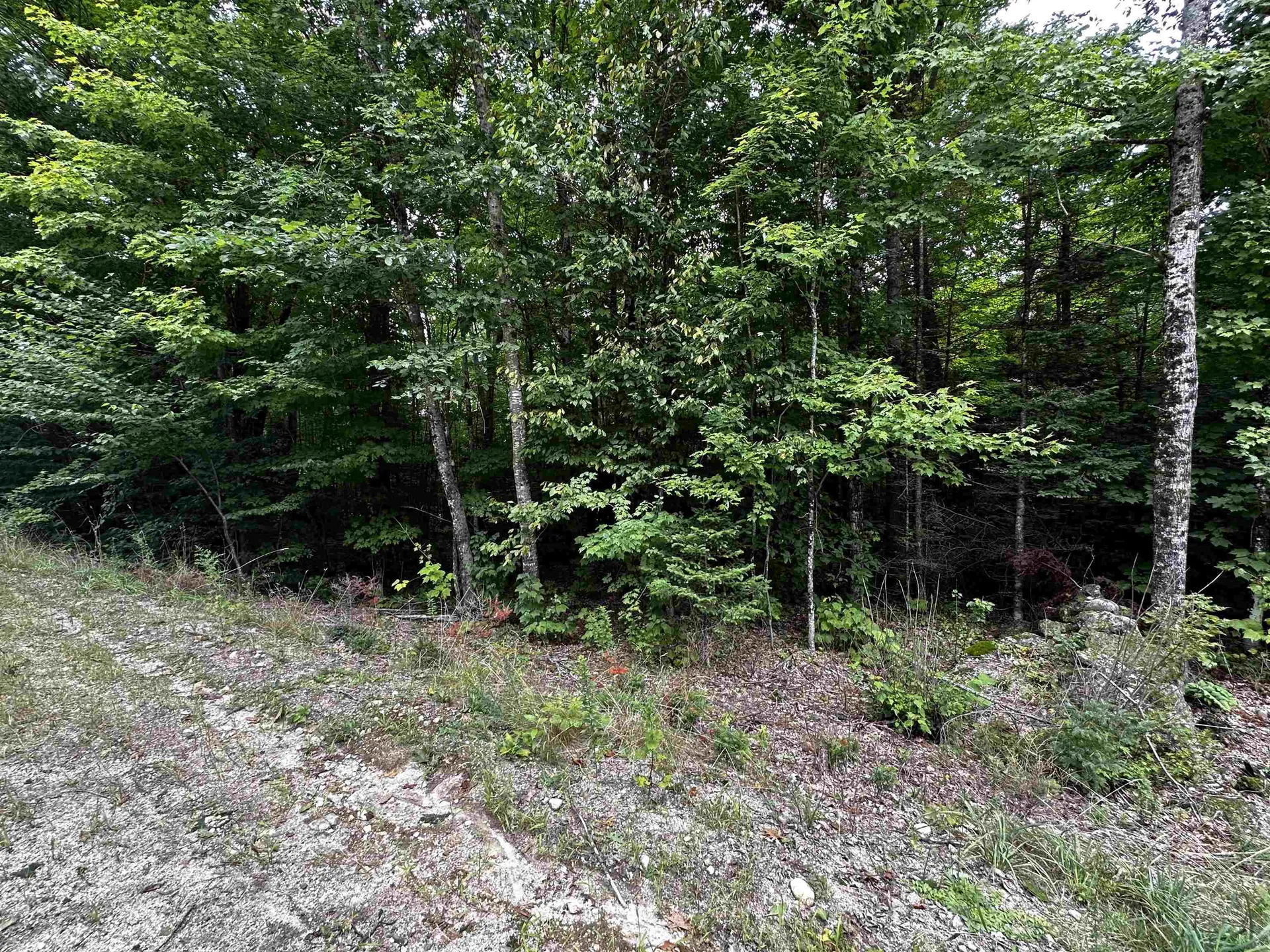 62 Patterson Road Wilmot NH 03287