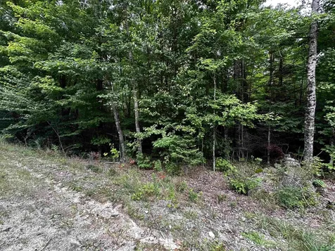 62 Patterson Road Wilmot NH 03287