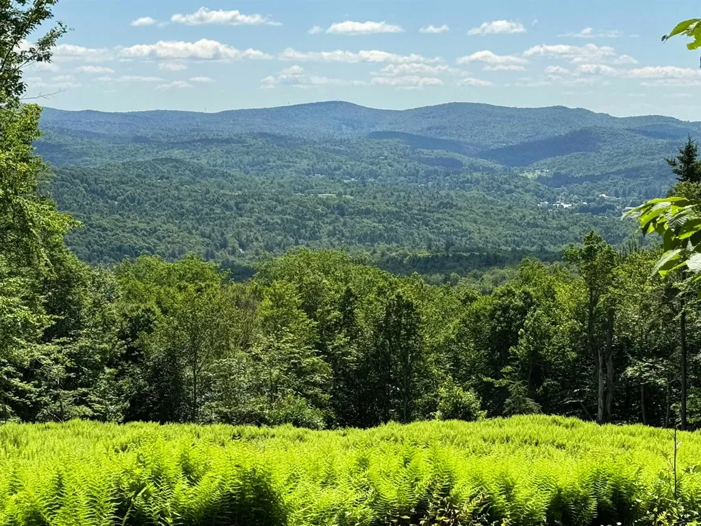 0 Spruce Grove Road Wilmington VT 05363