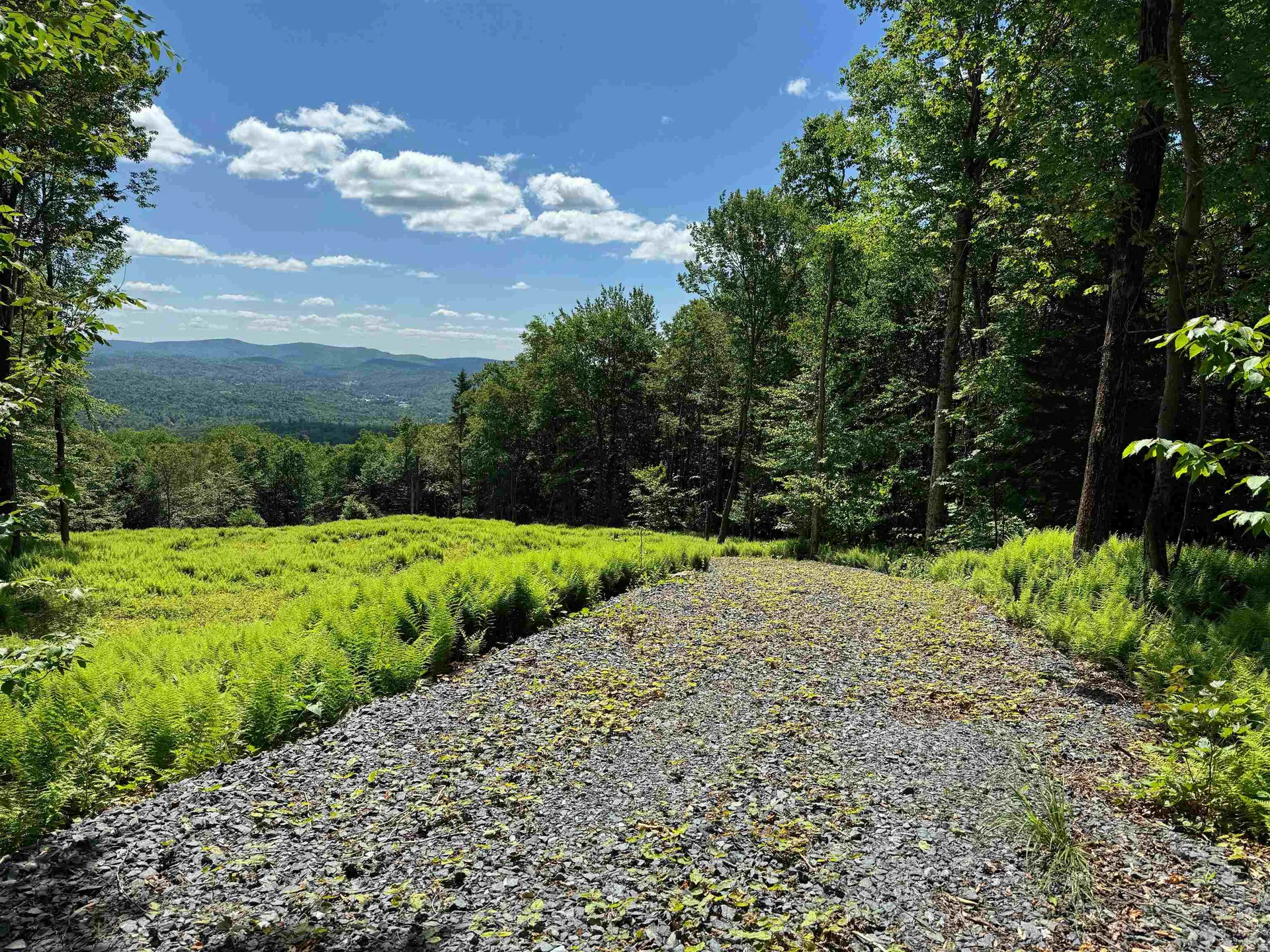 0 Spruce Grove Road Wilmington VT 05363