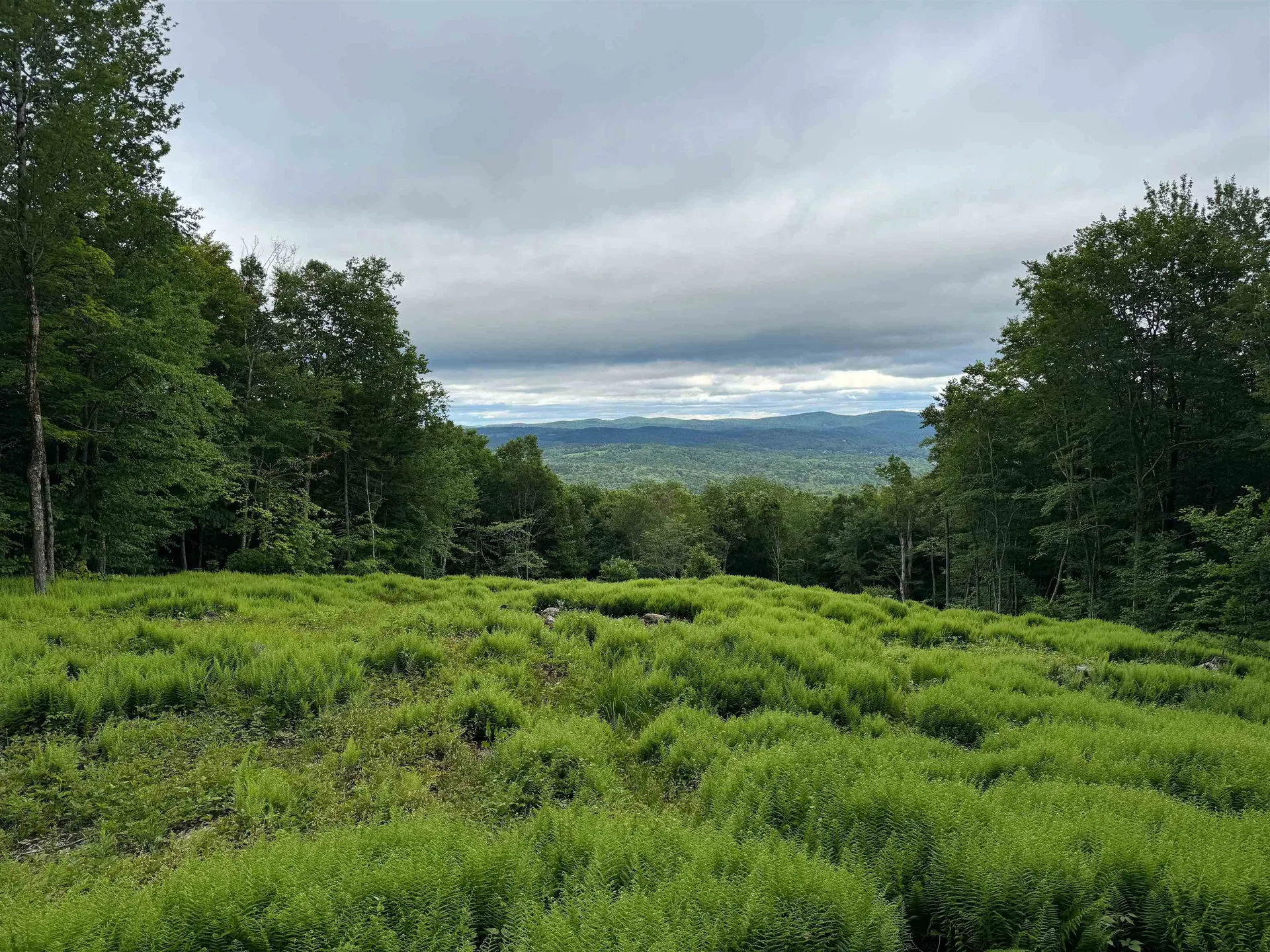 0 Spruce Grove Road Wilmington VT 05363