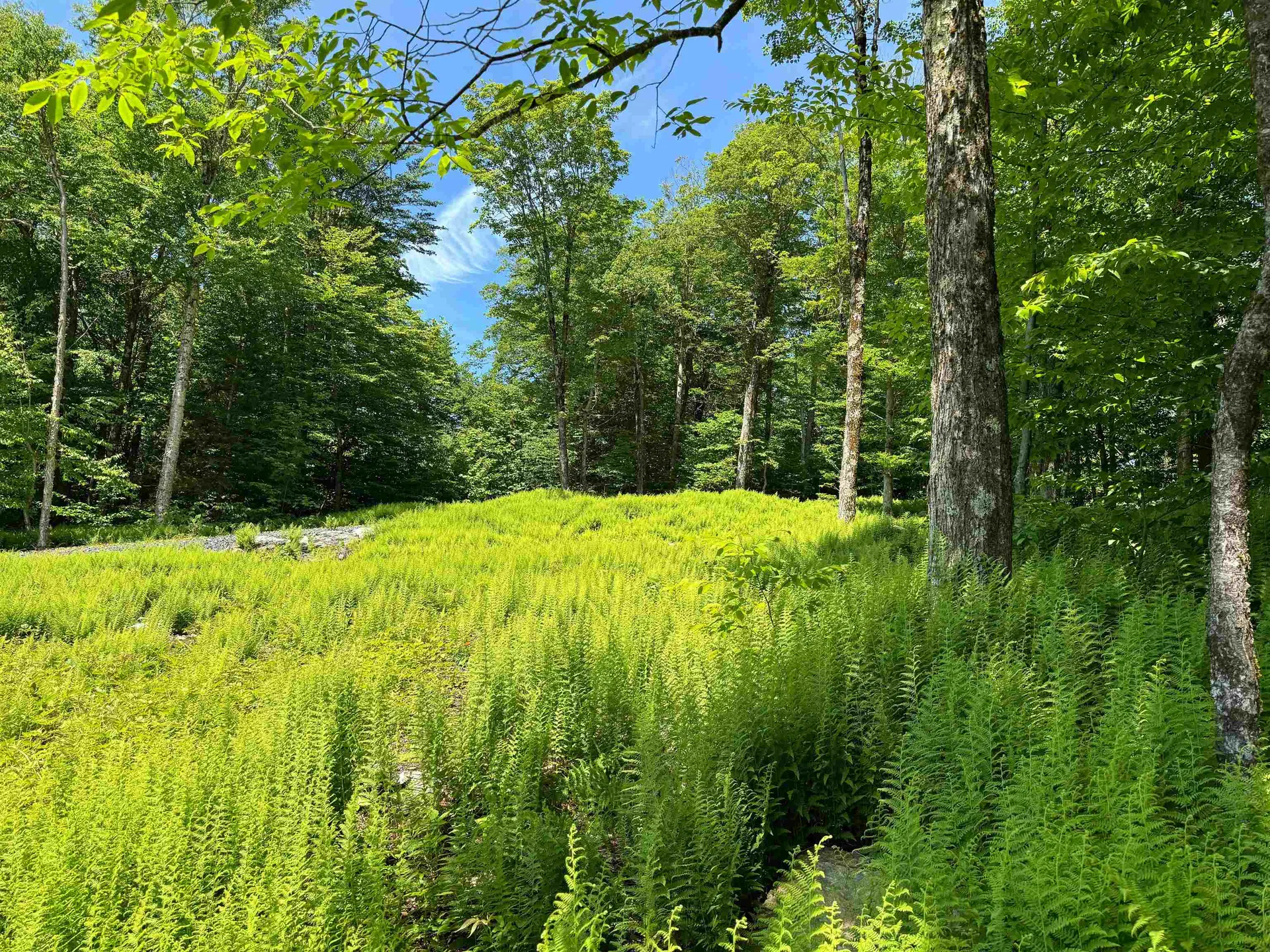 0 Spruce Grove Road Wilmington VT 05363