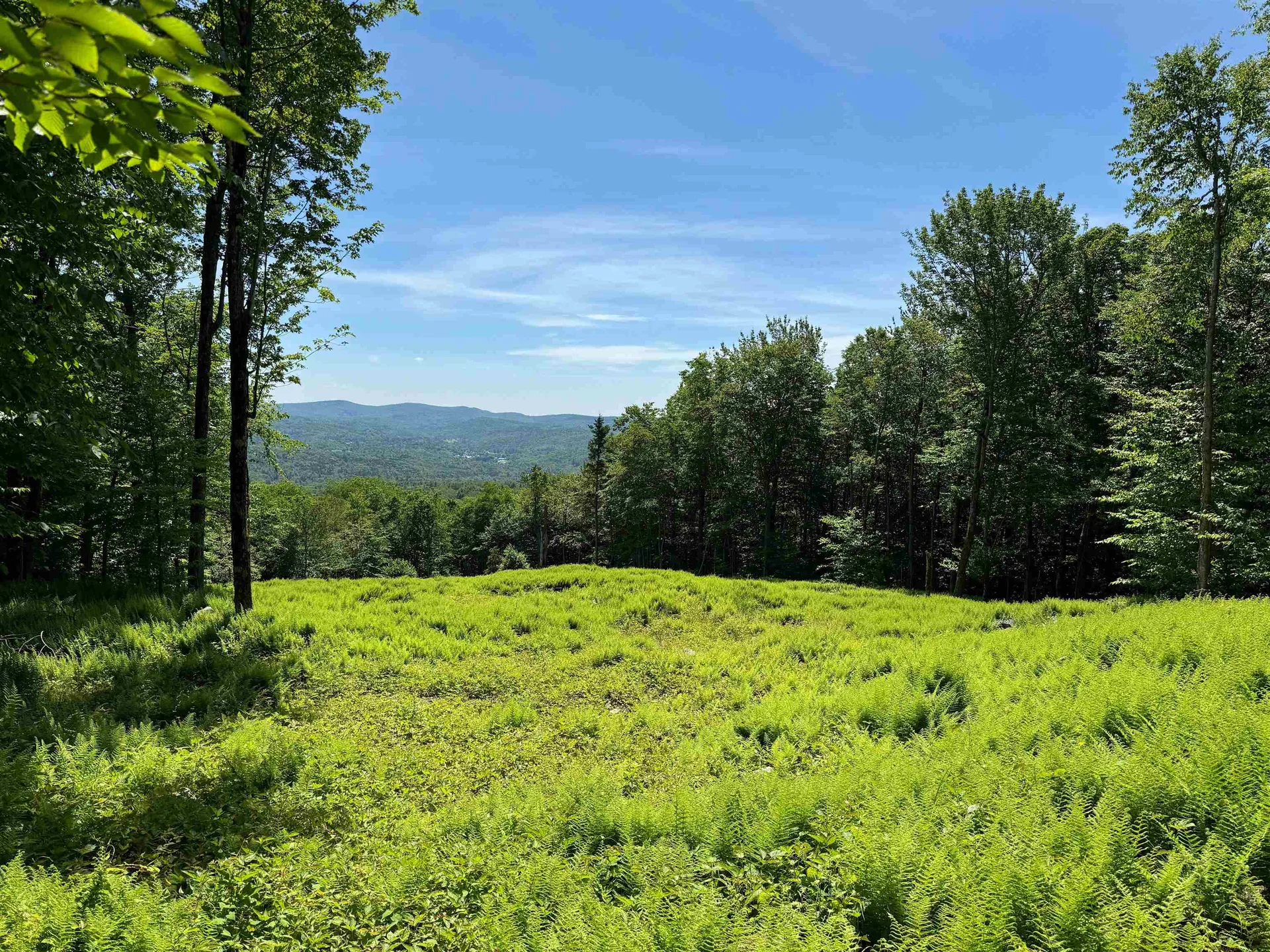 0 Spruce Grove Road Wilmington VT 05363