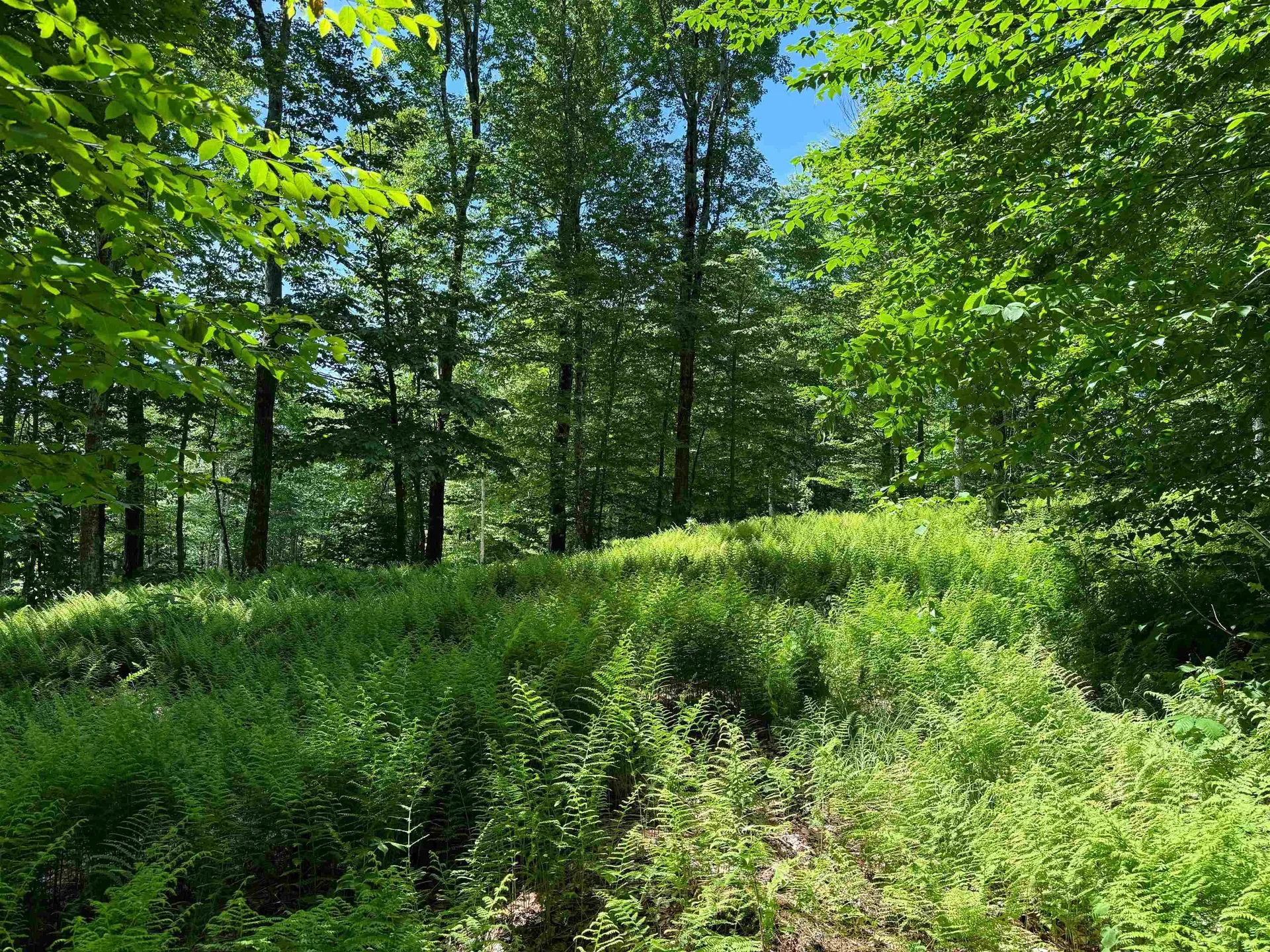 0 Spruce Grove Road Wilmington VT 05363