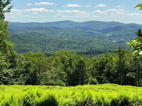 0 Spruce Grove Road Wilmington VT 05363