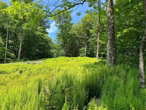 0 Spruce Grove Road Wilmington VT 05363