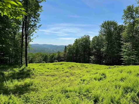 0 Spruce Grove Road Wilmington VT 05363