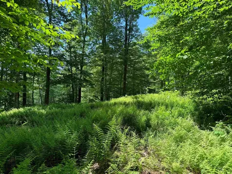 0 Spruce Grove Road Wilmington VT 05363