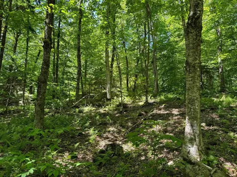 0 Spruce Grove Road Wilmington VT 05363