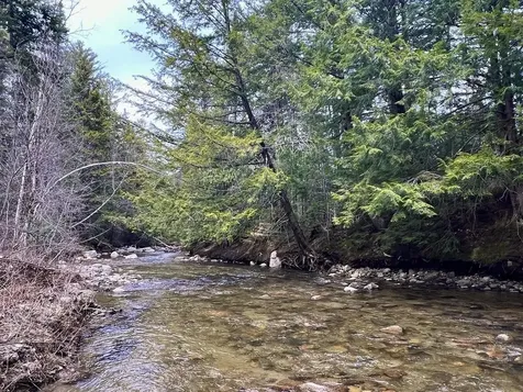 731 River Road Dorchester NH 03266