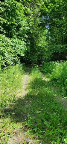 3058 Garland Hill Barnet VT 05821