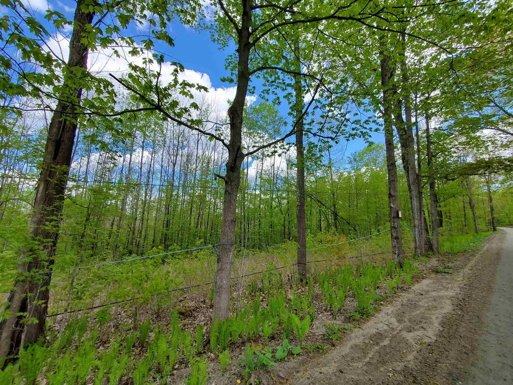 0 Garland Hill Barnet VT 05821