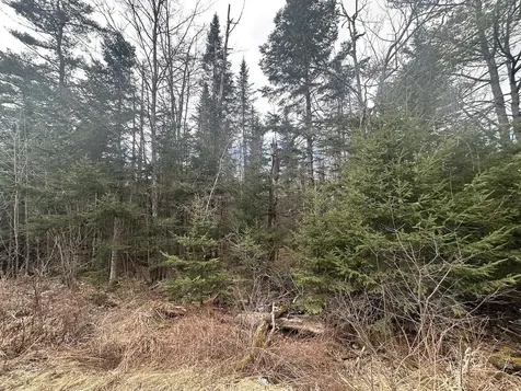 0 North Littleton Road Littleton NH 03561