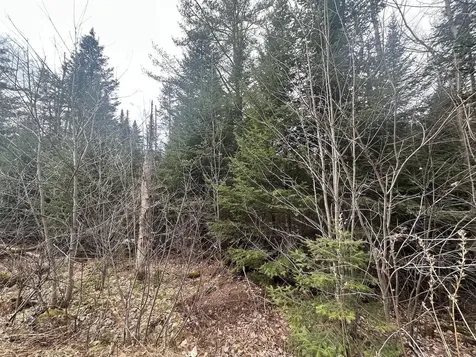 0 North Littleton Road Littleton NH 03561