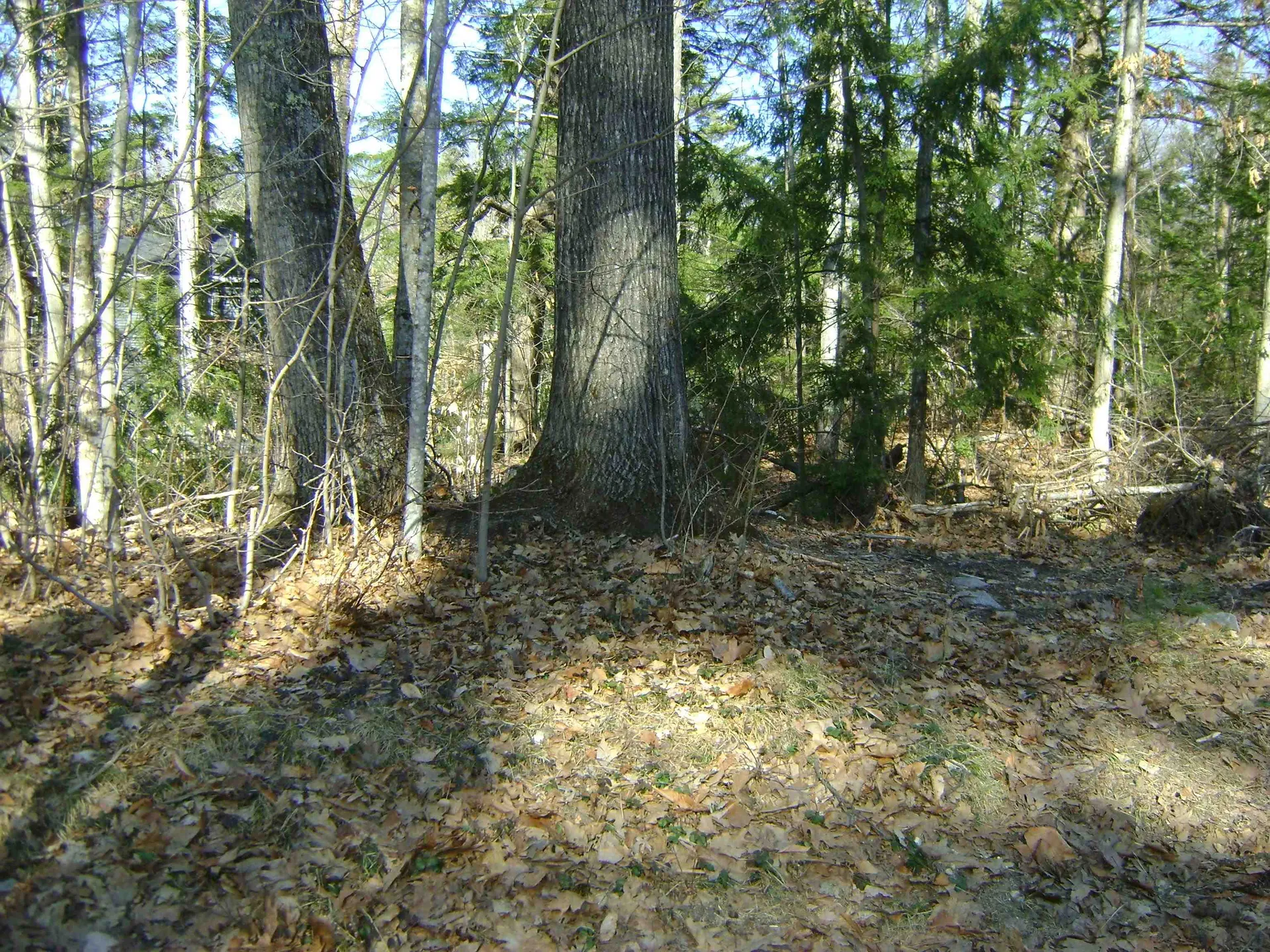 00 Sundorf Street Moultonborough NH 03254