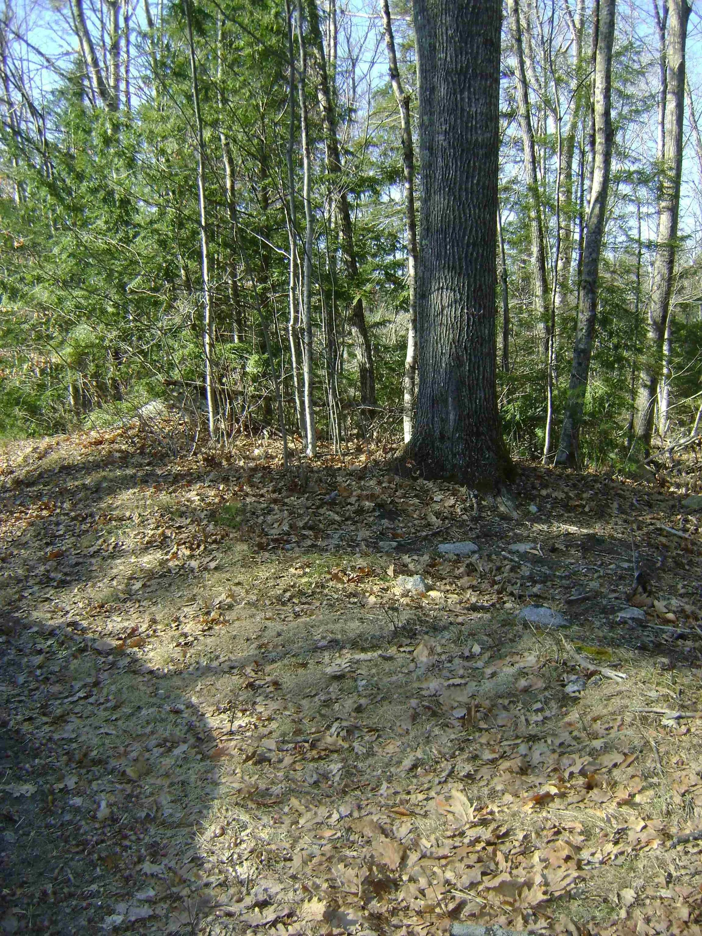 00 Sundorf Street Moultonborough NH 03254