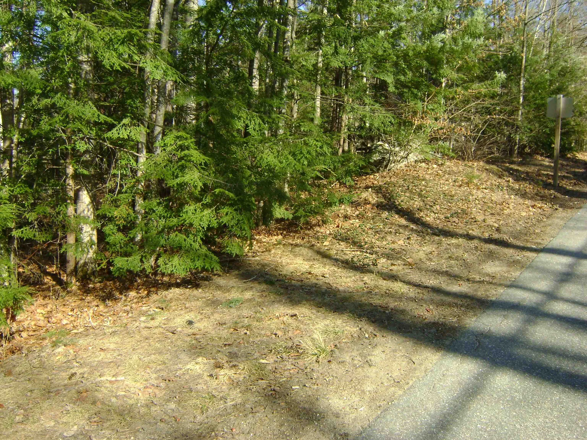 00 Sundorf Street Moultonborough NH 03254