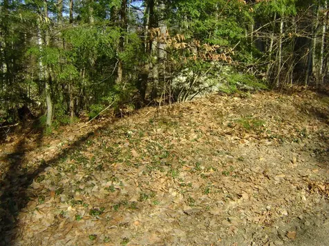 00 Sundorf Street Moultonborough NH 03254