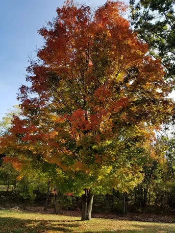 79 Clark Street Franklin NH 03235