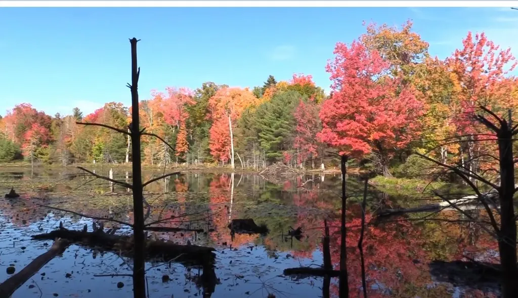 17 Sherwood Road Raymond NH 03077