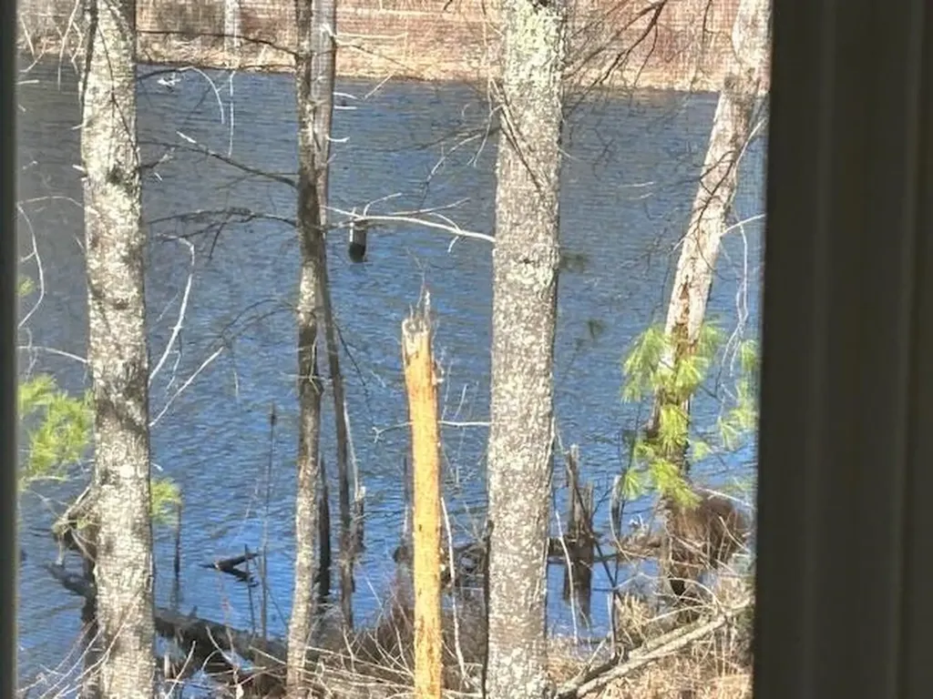17 Sherwood Road Raymond NH 03077