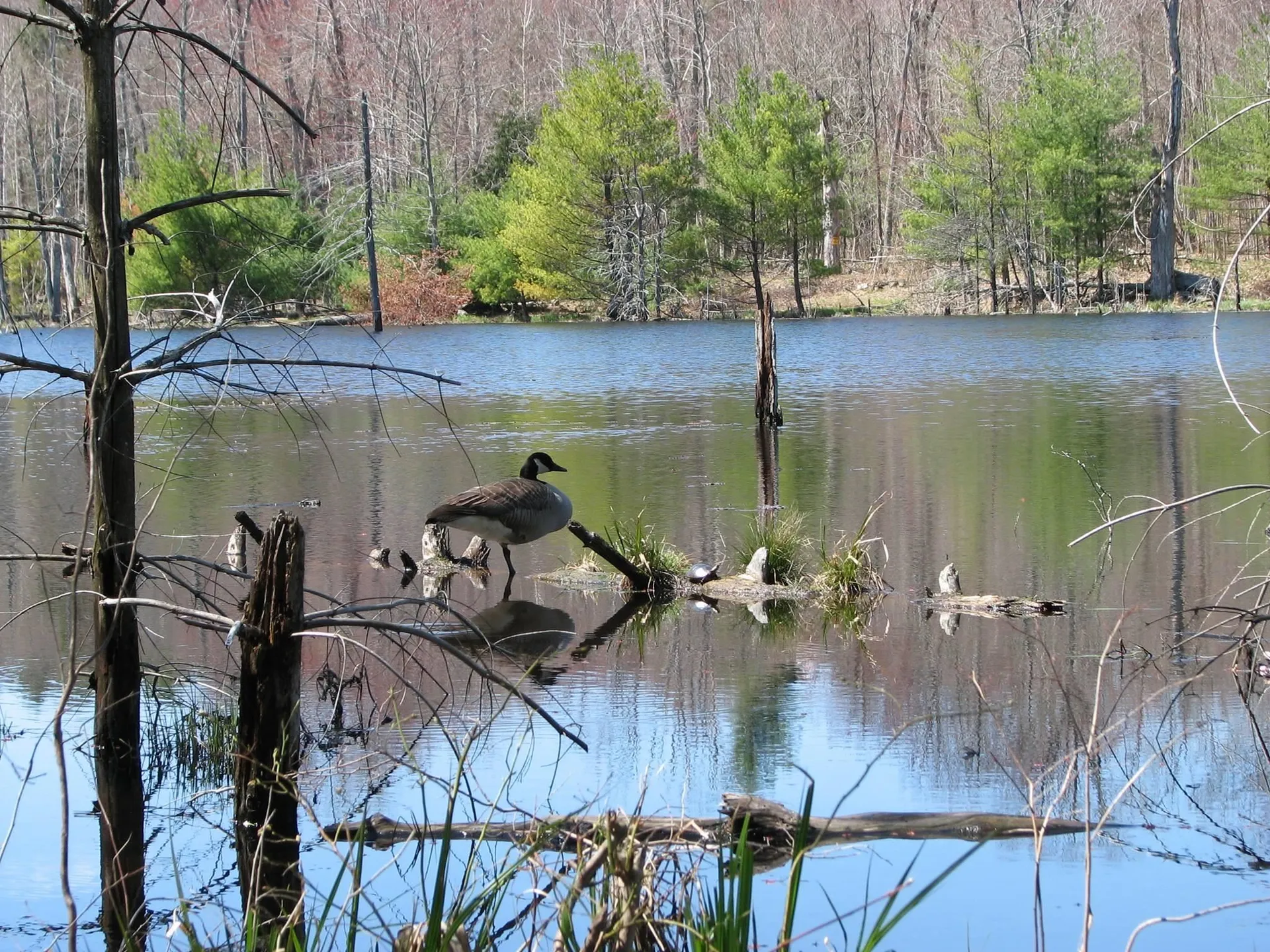 17 Sherwood Road Raymond NH 03077