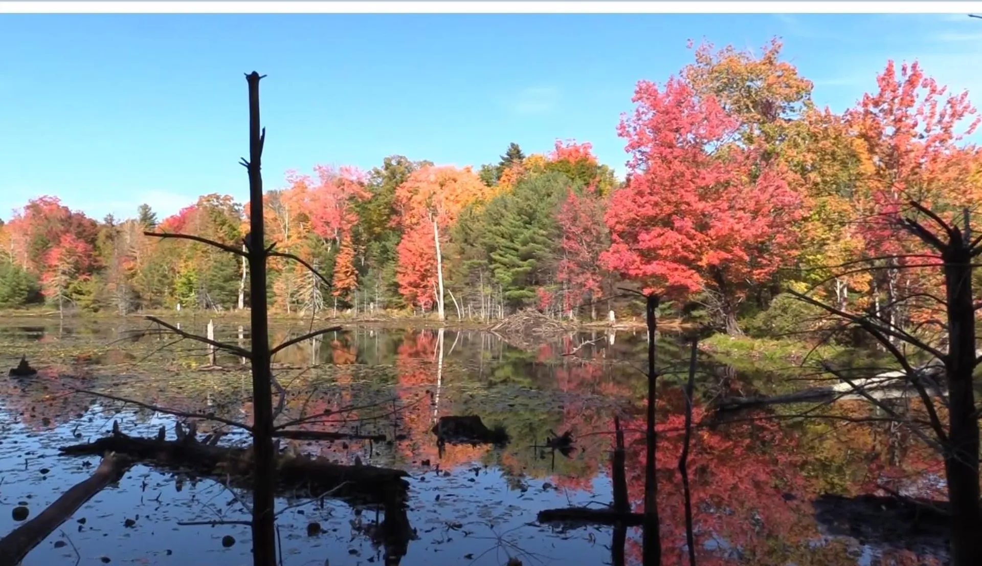 17 Sherwood Road Raymond NH 03077