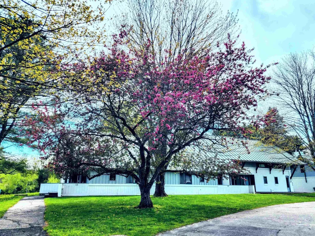 90 Village Green Drive Stowe VT 05672
