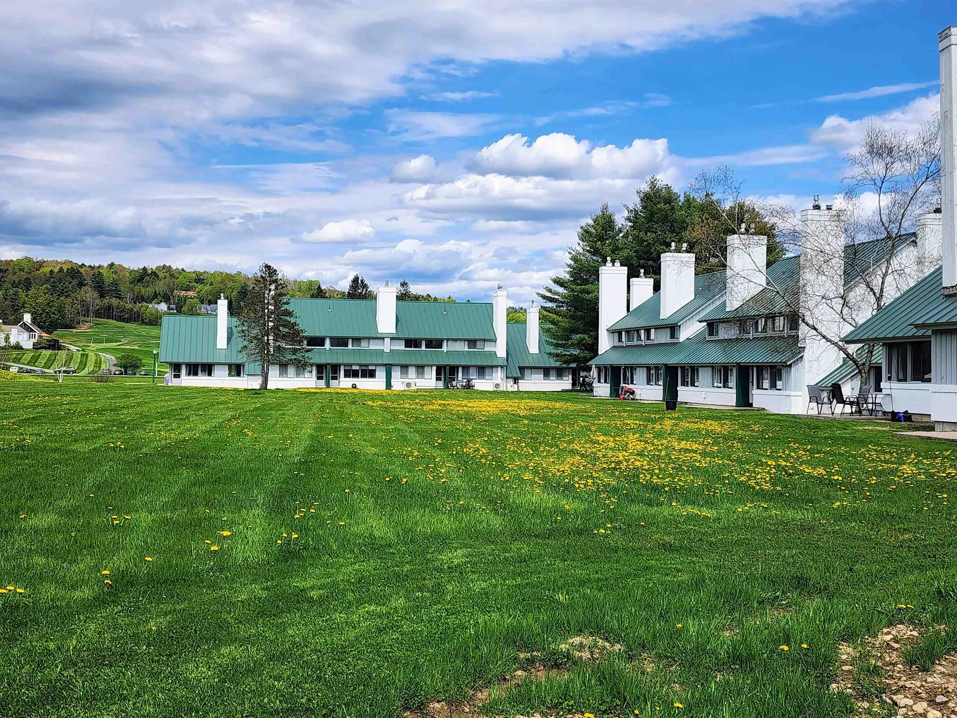 90 Village Green Drive Stowe VT 05672