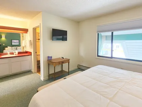 90 Village Green Drive Stowe VT 05672