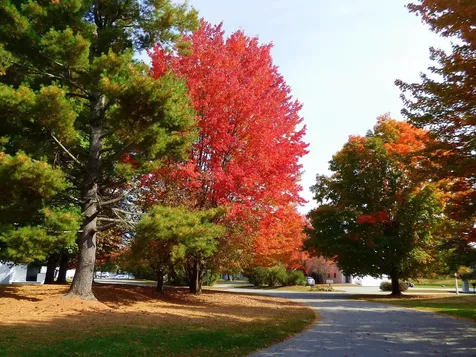 90 Village Green Drive Stowe VT 05672