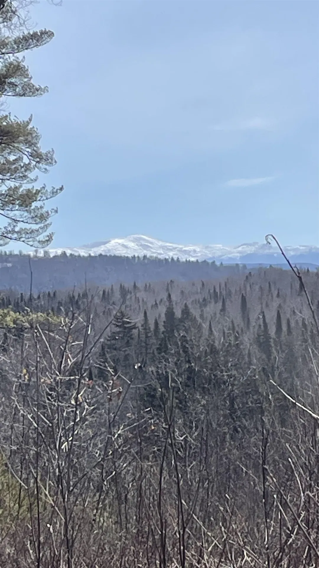 49 & 50 Whitefield Road Bethlehem NH 03574