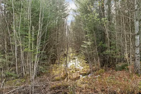 Lot 109 Steeple View Drive Bethlehem NH 03574
