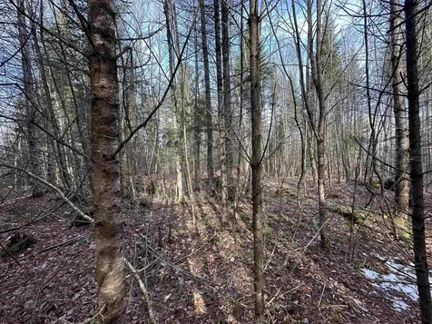 Lot 109 Steeple View Drive Bethlehem NH 03574