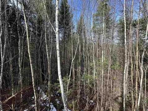 Lot 109 Steeple View Drive Bethlehem NH 03574
