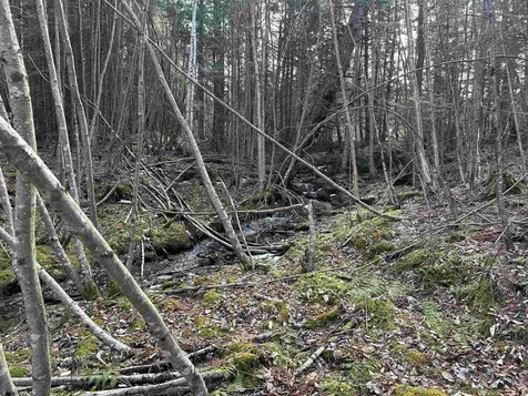 Lot 109 Steeple View Drive Bethlehem NH 03574