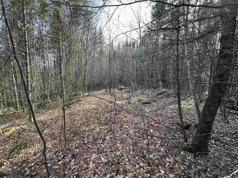 Lot 109 Steeple View Drive Bethlehem NH 03574