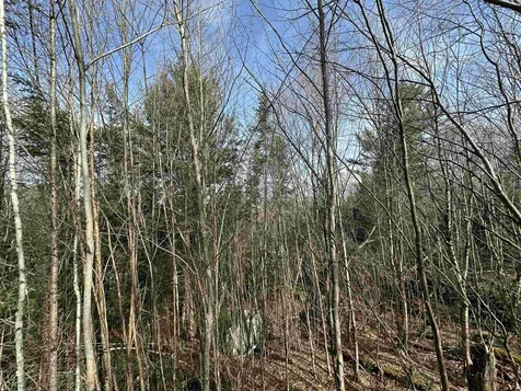 Lot 109 Steeple View Drive Bethlehem NH 03574